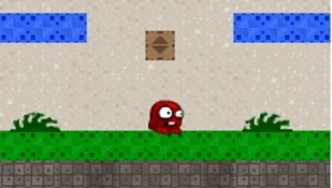 שני צינורות