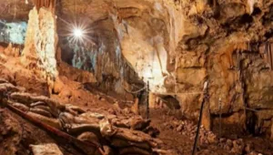 "הצצה להיסטוריה": שרידי אדם מלפני 40 אלף שנה אותרו בגליל