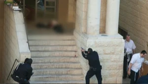 התיעוד הדרמטי, הפצועים - והשוטר שנפל: בחזרה לפיגוע בהר נוף