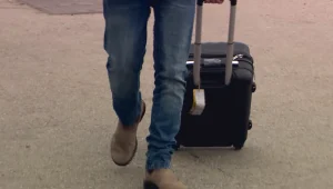 מחתרת הגת: כך הפכה ישראל למעצמה עולמית של הברחת העלים