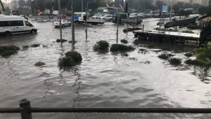 קול המון טיפות המים: גשמים והצפות ברחבי הארץ; שלג ירד בחרמון