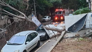 בוקר סוער בצפון: סופות רעמים ורוחות עזות; בשבת: הגשם ייחלש