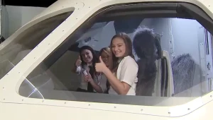 "חלום לעוף": הנשים שהחליטו לנצח את הסטטיסטיקה - ולהטיס מטוס