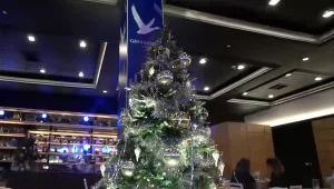 מרוסיה באהבה: הצצה למסיבת ה"נובי גוד" היוקרתית בישראל