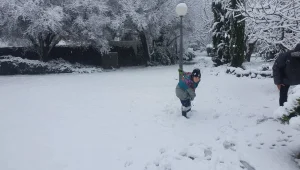 התחזית: הסערה תימשך עד הערב - ותחזור ביום רביעי