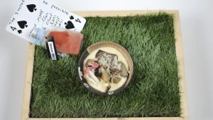 פולנטה, מיקס פטריות יער ושיקוי סלק | המתכון של השף מושיק רוט