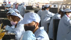 חשש בישראל: מוצרים רבים יתייקרו בגלל מחסור בחומרי גלם מסין