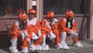 "אני חתולה שבאה למלחמה" | היום ה-33 בבית האח הגדול