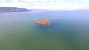 "שישי" 07.02.20 המהדורה המלאה - המפלס הלאומי