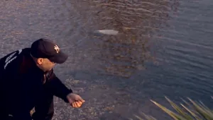 הערב: המפלס הלאומי - האנשים שעוקבים מקרוב אחר גובה מי הכינרת