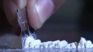 קוקאין ברחבת הריקודים: כך הפך הסם המסוכן ללהיט החתונות