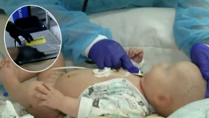 מלאכים בימי קורונה: כך נשלחות תרומות האיברים בזמן הסגר מדיני