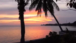 "שישי" 17.04.20 המהדורה המלאה - מבודדים בגן עדן