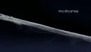 לאסוף את השברים | רן כהן - אחת מ-12