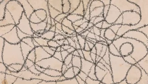 לאסוף את השברים | היומן - זיו בריגר