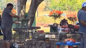 מנפנפים במרפסות: כך ייערכו השנה המנגלים של יום העצמאות