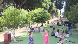 המונים יצאו - למרות המגבלות; הרוג בתאונת מטוס | חדשות השבת