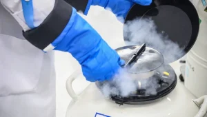 "אנשים באיקאה ובמקס סטוק, כולם יותר חשובים מאיתנו - מי השתגע פה?"