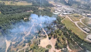 גל חום קיצוני: שריפות פרצו בכמה מוקדים, רבים פקדו את החופים