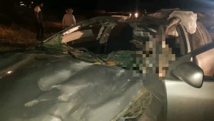 בן 30 נהרג בנגב לאחר שרכבו התנגש בגמל 