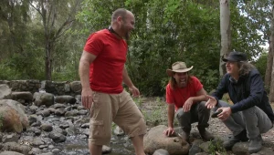 שי שטרן בודק האם להשתכשך נחשב לשחות ואם מותר להיכנס למים, אבל אסור להנות