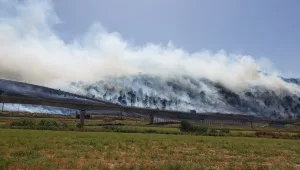 שריפה גדולה סמוך לטבעון: הושגה שליטה על האש אחרי 5 שעות
