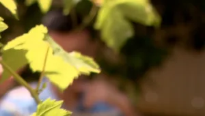 "משהו בך בוער - ואתה לא יודע מאיפה": מונולוג של גבר אלים