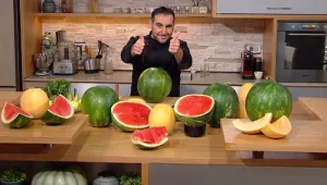 קר ומתוק: איך לבחור את האבטיח הכי טעים?