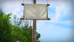 מי יהיה חסין מהדחה וממי תישלל זכות ההצבעה במועצה?