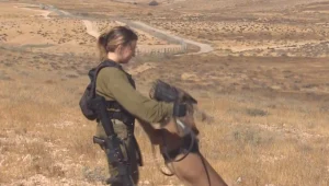 הנשק החדש של צה"ל נגד גניבות מבסיסים בדרום - כלבי גישוש