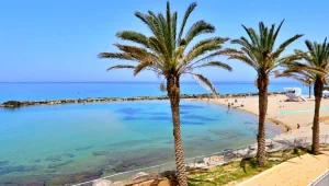 "בואו להתחתן אצלנו": מבצע חתונה בצל הקורונה