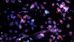 "שבוע אני מודיעה שיש לי קורונה ואף אחד לא מקשיב לי"