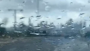 באמצע אוגוסט: גשם יורד בצפון ובמרכז הארץ • התחזית המלאה