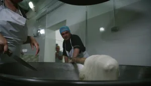  הכירו את הגבינה החייזרית