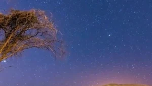 "כיף עצום": הישראלים שהרחיקו עד המדבר כדי לצפות במטר מטאורים