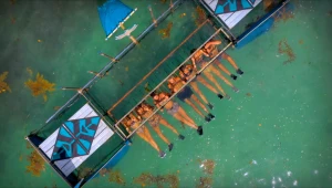 השורדים צוללים אל חסינות עוצרת נשימה: מי ינצח וינצל מההדחה?