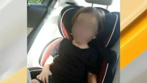 עוברת האורח שראתה פעוט משוטט - והצילה אותו מדריסה