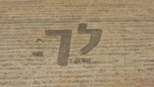 כ-20 בתים עלו באש בצפון, הפגנות ברחבי הארץ • כותרות השבת