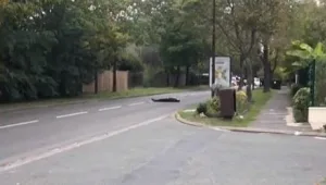 חשד לאירוע טרור סמוך לפריז: אדם נרצח בעריפת ראש