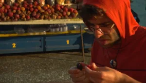 הערב במירוץ למיליון ALLSTARS, "הדובדבנים הם פצצות הקאה" הזוגות נגעלים מהפירות היבשים