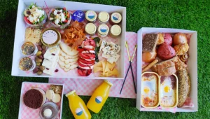 רוצים ליהנות מפיקניק עד הבית? רק עם בוטיקניק 