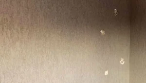 "פתאום התחילו לירות מעל הראש של סבתא, איפה אנחנו חיים?"