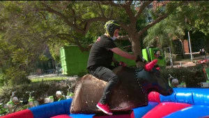 אסף ונתא VS ליאון ודורון מירן - מי ניצחו בתחרות השור הזועם?