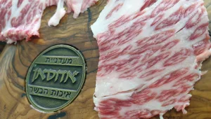 מעדניית אחסאן – הקצבייה בעלת מרעה אישי משלה