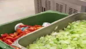 החיילים בבסיס איחרו - הטבחים זרקו את האוכל לפח