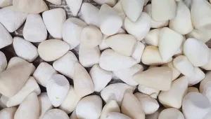 המעדניה האינטרנטית שאוספת את מוצרי המזון הכי מיוחדים בארץ