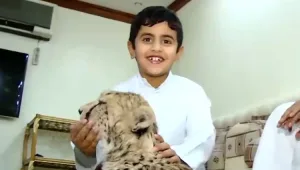 מציצים לשכנים: טרנד החיות האקזוטיות של עשירי מדינות המפרץ