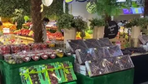 מגדלי פירות וירקות ישראליים החלו למכור את תוצרתם בדובאי