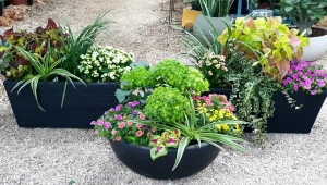 "חוויה ושתיל"- טבע, הרמוניה וחוויה לכל המשפחה