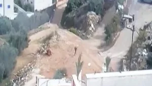 בשבילי עפר צדדיים: תיעוד מבריחת החשוד ברצח זוגתו לשעבר בצפון